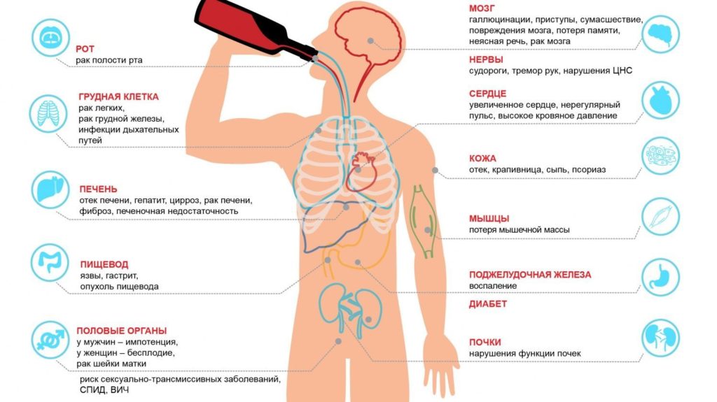Влияние алкоголя на организм человека