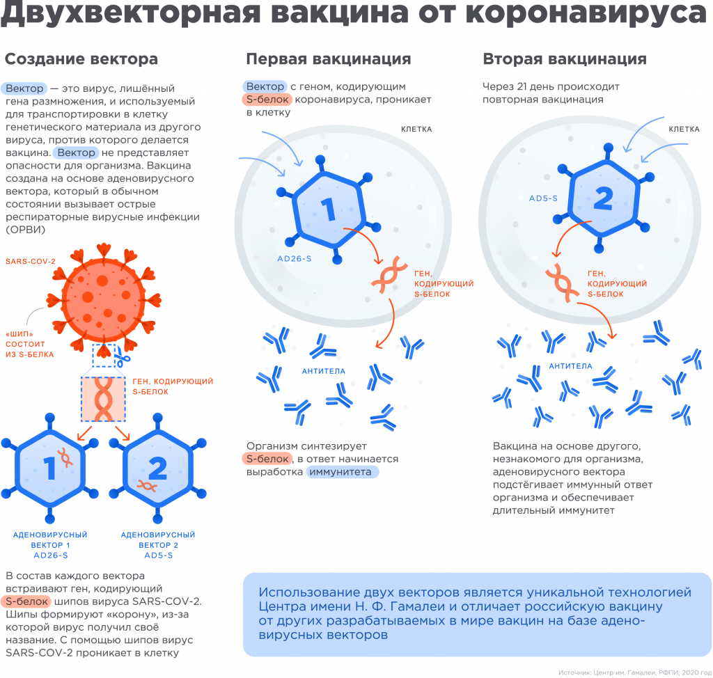 Описание и механизм действия векторной вакцины "Спутник-V"